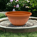 Kit com 15 Vaso Cuia para Rosa do Deserto - 6,6 Litros